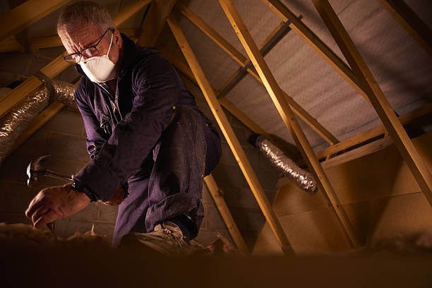 Best Types of Insulation in One Loudoun, VA