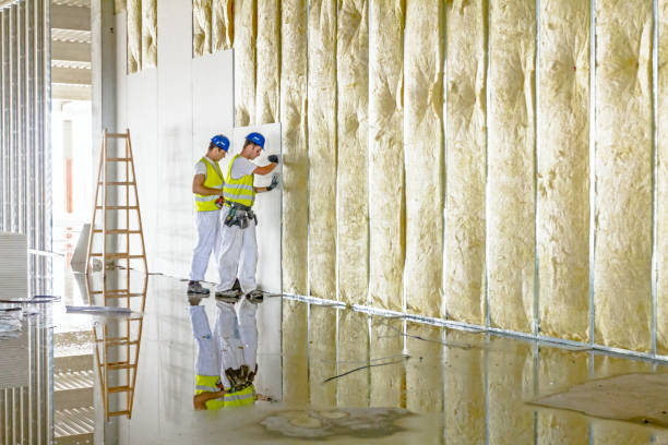 Trusted VA Insulation Contractor Experts